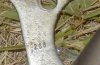 1 and one half headers 268 number.jpg