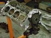 DSC01650.jpg