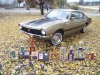 2012trophies2.jpg