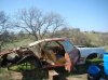 DSC05431.jpg
