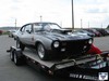 4th_meet_stallion_on_trailer_front_copy_original.jpg