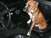 1bruno_082_original.jpg