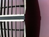 grille.jpeg