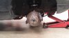 20150502_105310.jpg