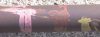 driveshaft 2.jpg