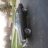 Trevs77Comet