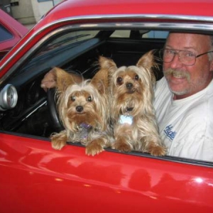 mavdog with the grand dogs