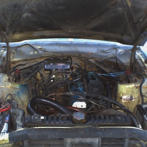 My car and new 2bbl carb