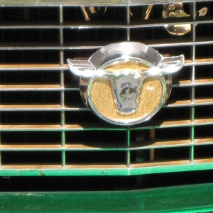 Grille Emblem