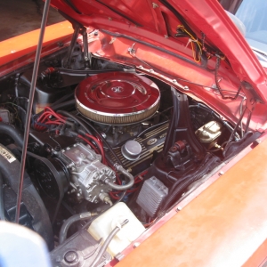 302 Engine Bay