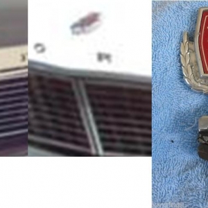 Ford Hood Badges