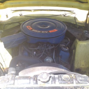 engine compartment