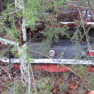 71 Grabber Ozarks, Recovered.