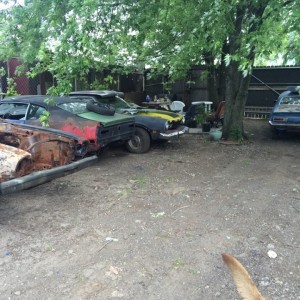 Just a few Getting Ready for Restoration.