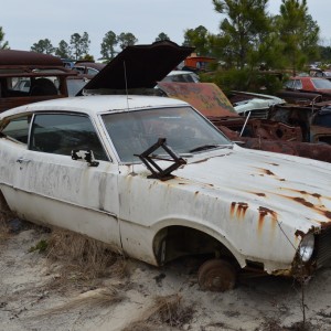 1970 Maverick Junkyard