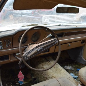 1974 Comet Junkyard