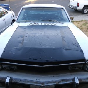 My horrible hood wrap