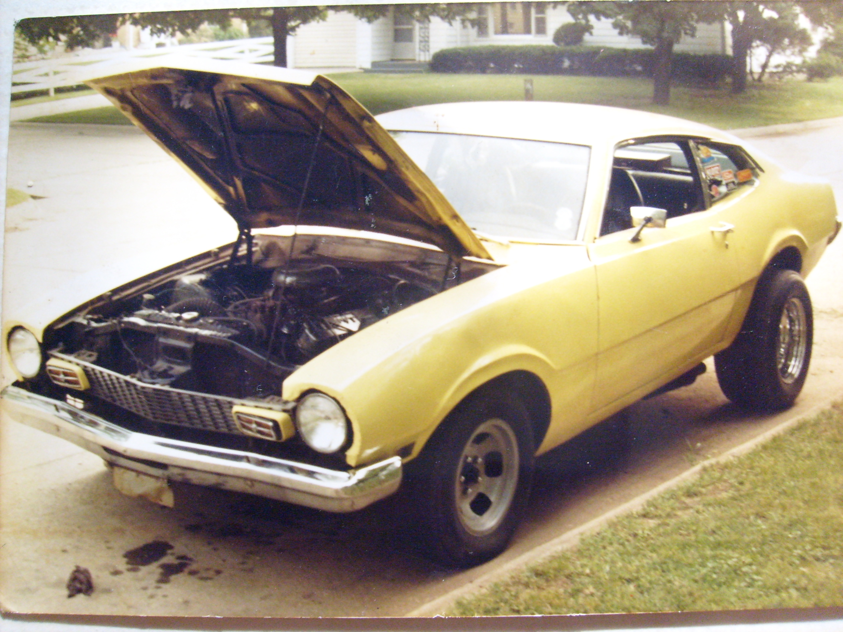 My 2 Mavericks I Had