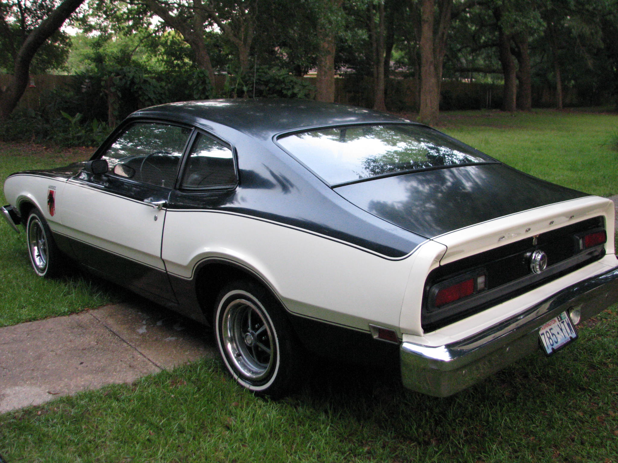 My White Stallion